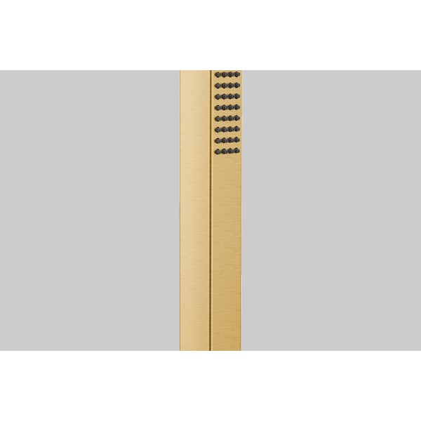 Square Handshower Brushed Gold